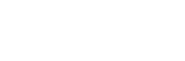 Type 2 Detectives